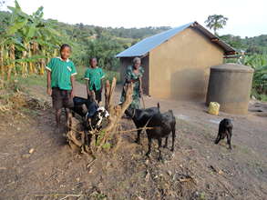 Martha and the two grandsons with their goats