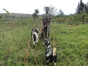 Margaret's with her goats