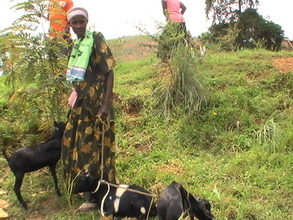 Harriet Nakaweesi holding her goats