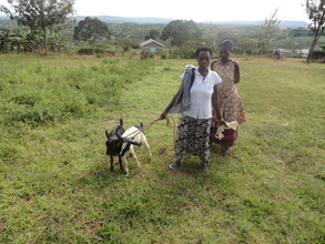 Prossy with her two goats