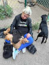 Photo: Happy Paw / Animal SOS & Kovcheg