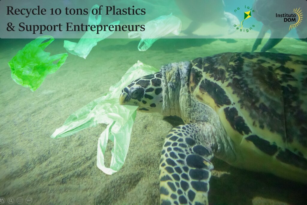 Recycle 10t of Plastics & Support Entrepreneurs