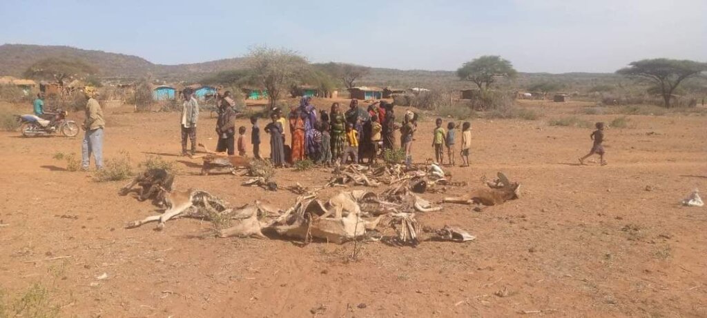 Save the lives of 200,000 drought victims