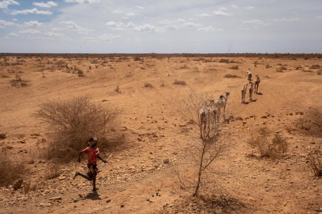 Save the lives of 200,000 drought victims
