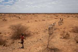 Drought affected families in Ethiopia