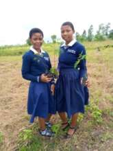 CHATS Members at Thuchila CDSS planting trees