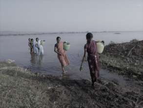 Collecting Contaminated Surface Water