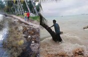 Saving Ile a Vache