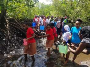 Students walking through the mangroves