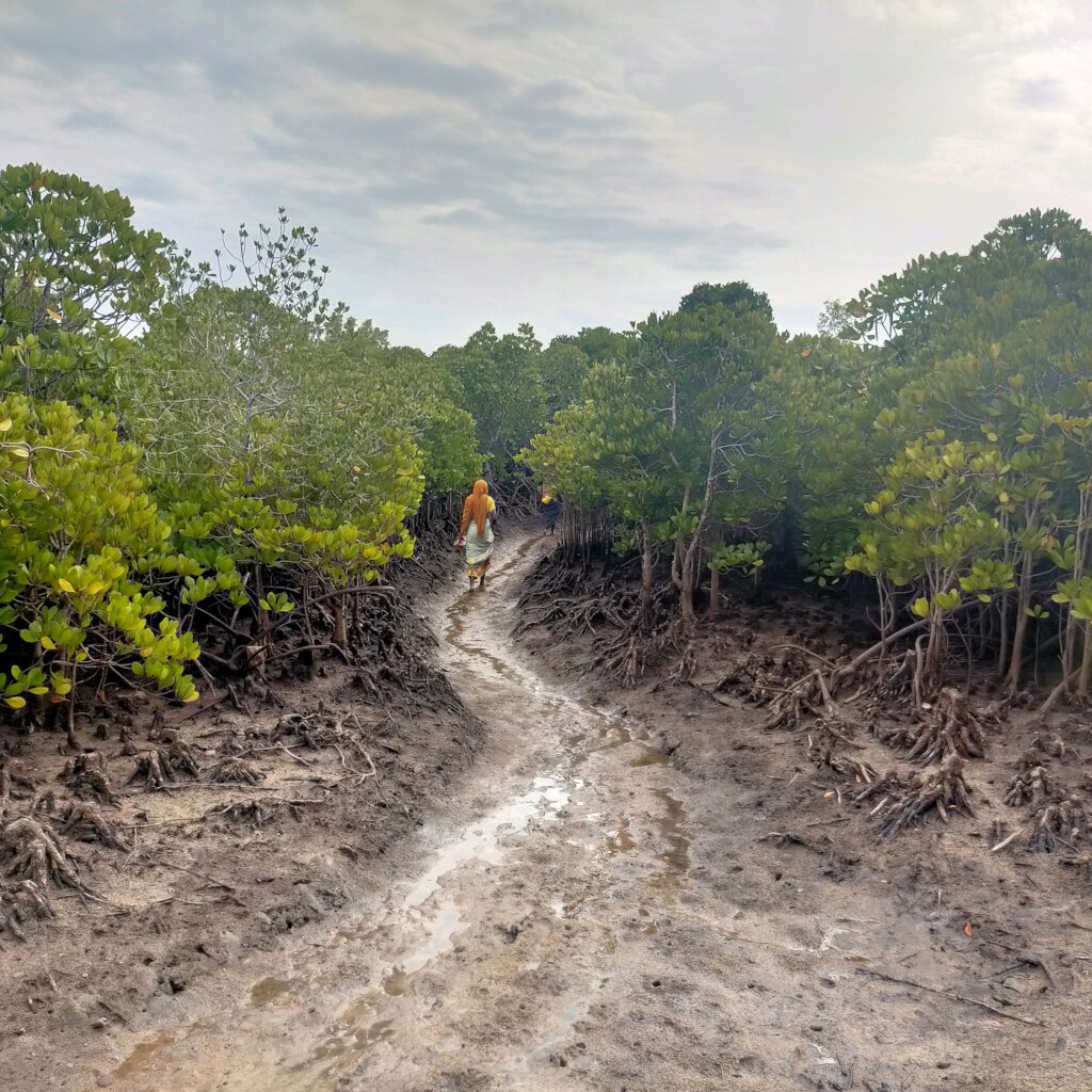 Women saving mangroves in Kenya!