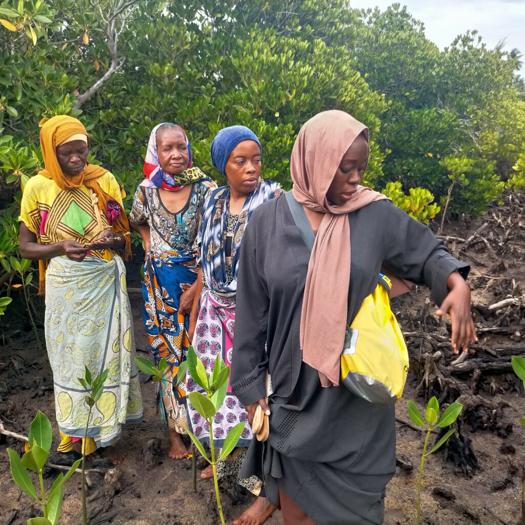 Women saving mangroves in Kenya!