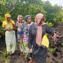 Women's group at their Mangrove nursery