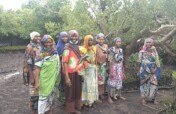 Women saving mangroves in Kenya!