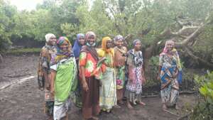 Women saving mangroves in Kenya!