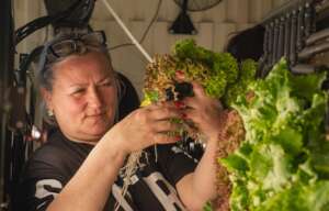 lettuce be honest: we're not ready to be done yet