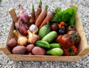 What we'll include next month, at peak of harvest