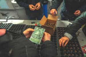 tiny seeds, big plans... but it takes patience you