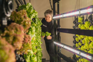 you reap what you sow - if you don't screw it up