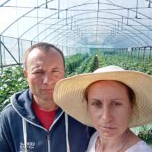 Ion & Olesea put everything into two greenhouses