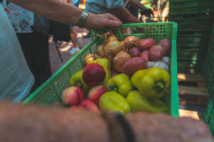 every week the menu is different