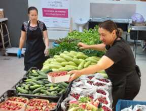 All the colors of the rainbow