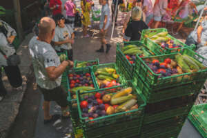 vitamins over calories