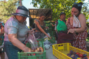a regular day at our food distributions
