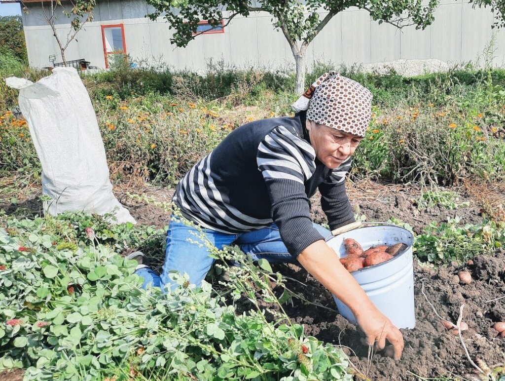 Help us help refugees from Ukraine