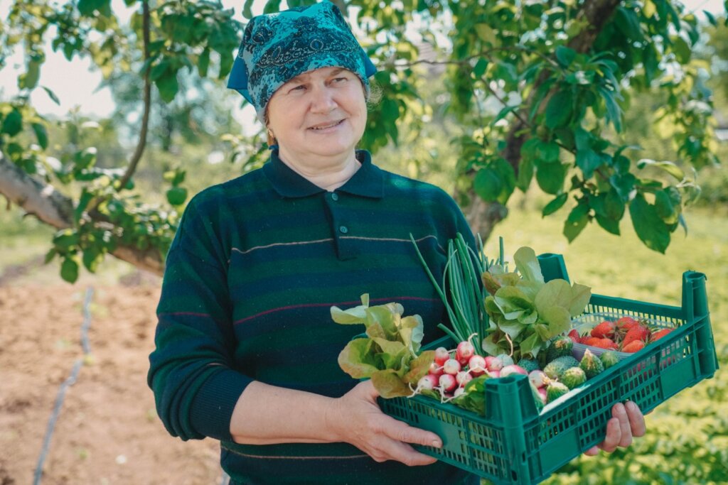 Help us help refugees from Ukraine