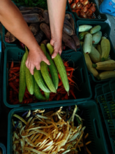 Refugee families will enjoy our fresh produce