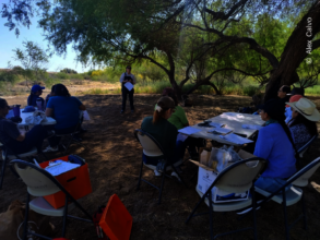 Instructor at "How to start a Pollinator Garden"