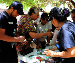 Urban garden workshop