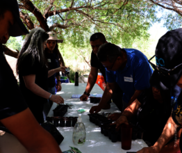 Urban garden workshop