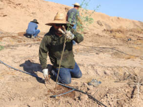 Mexicali volunteers at Janitzio Restoration site