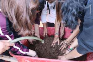 Soil mixing for propagation practice