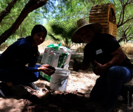 Urban garden workshop