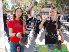 Adoption of native trees