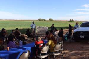 Volunteering at the Janitzio Restoration Site