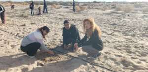 Volunteers at Janitzio restoration site