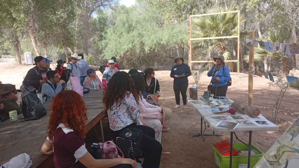 Students explore Colorado River restoration sites.