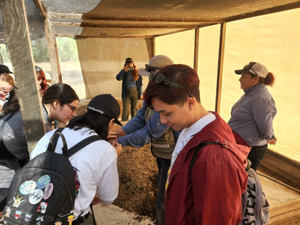 Students observe red worms at the Chausse compost