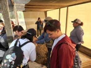 Students observe red worms at the Chausse compost