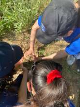 Students volunteers to restore the Colorado River