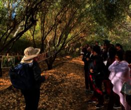 Learning how to identify resident birds