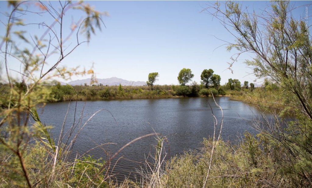 Let's restore the Colorado River Delta