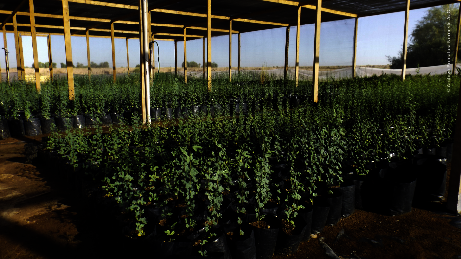 Let's restore the Colorado River Delta