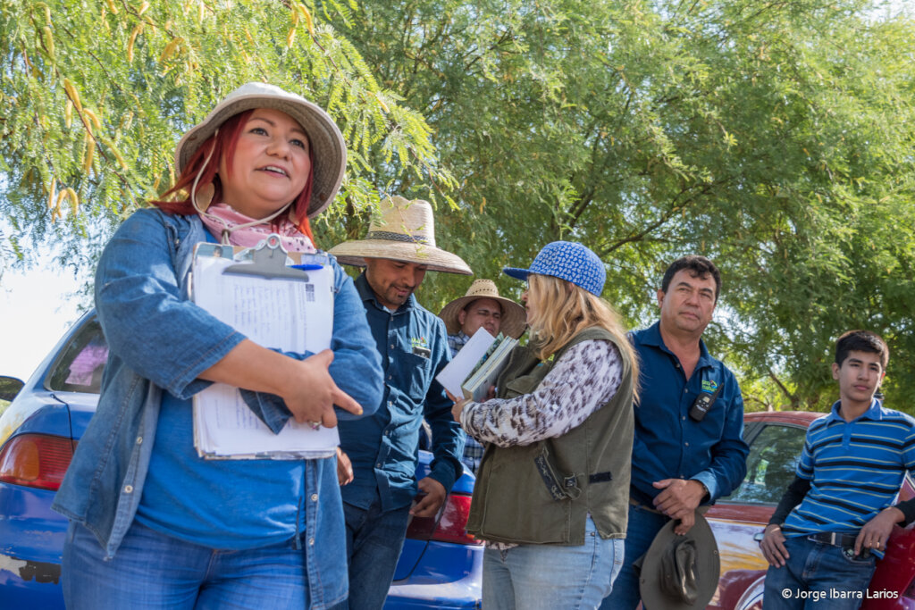 Let's restore the Colorado River Delta