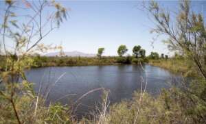 Landscape of Colorado River Delta