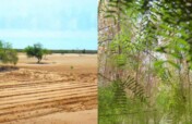 Let's restore the Colorado River Delta