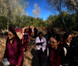 At the Interpretative trail finding native plants